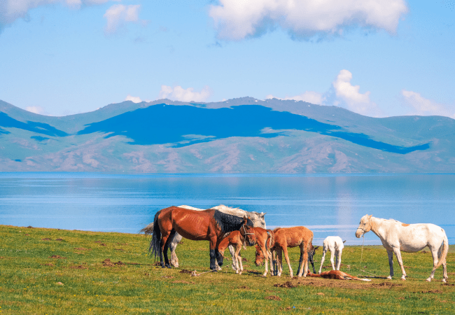 Kyrgyzstan Tour Package - Rio Travels