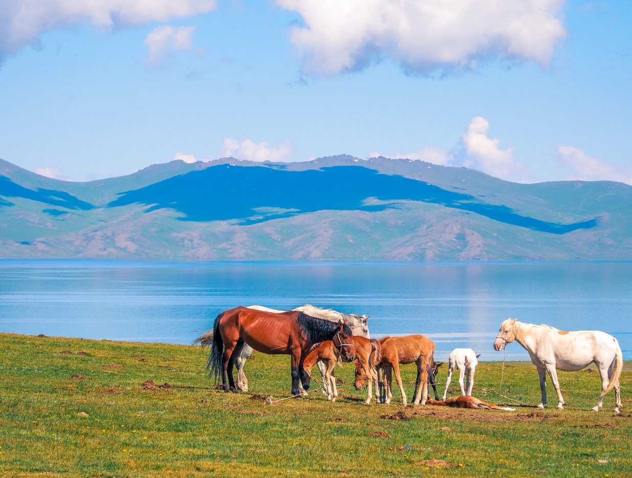 Kyrgyzstan Tour Package - Rio Travels