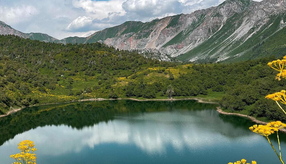 Venturing into Sary-Chelek Biosphere Reserve - Kyrgyzstan 