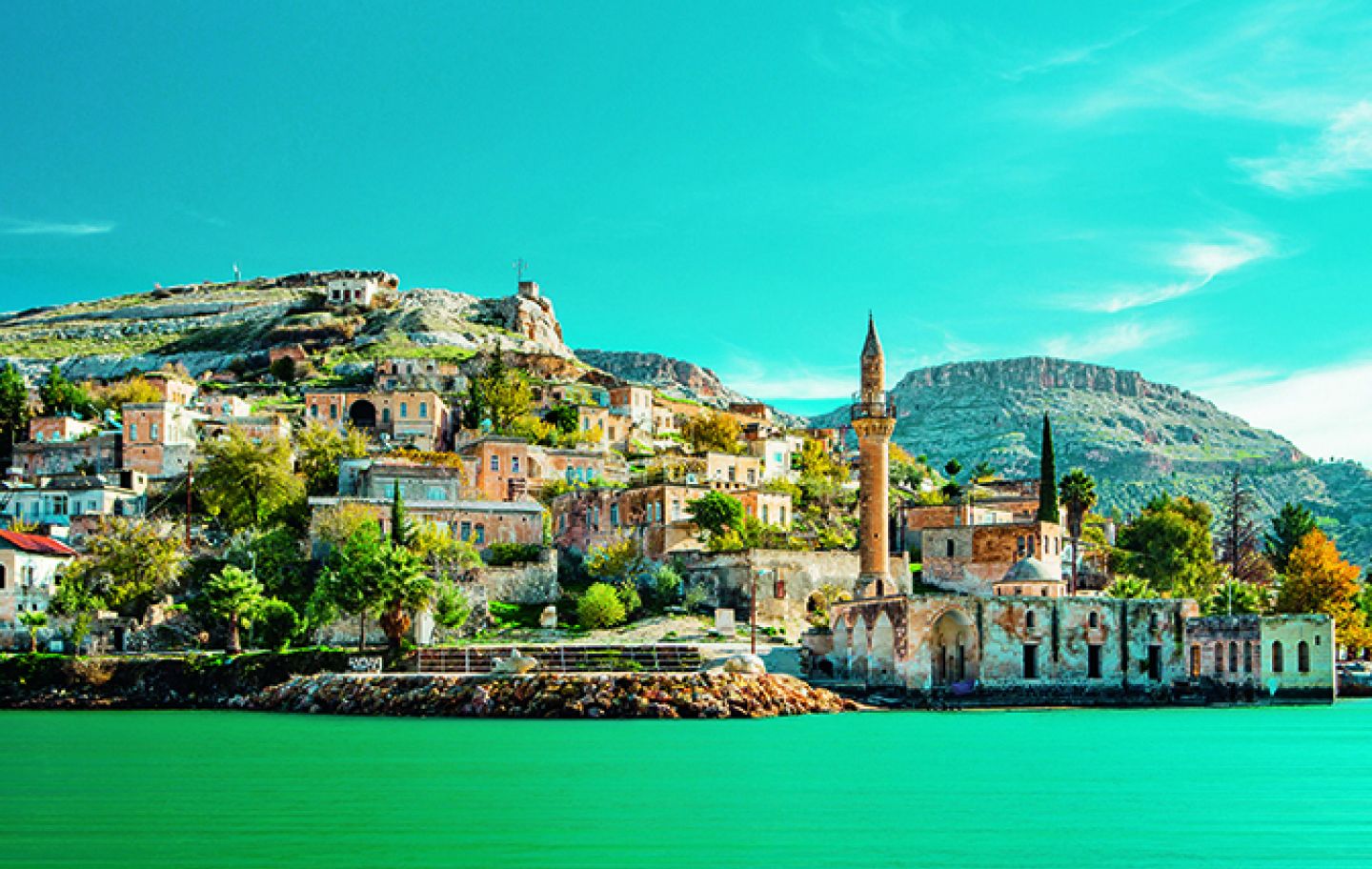 banner-image