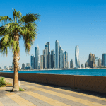 UAE Visa