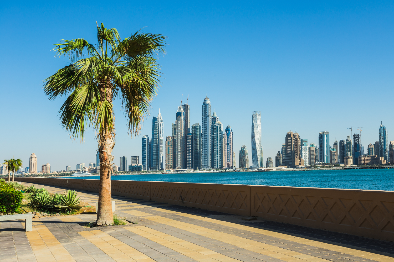 UAE Visa