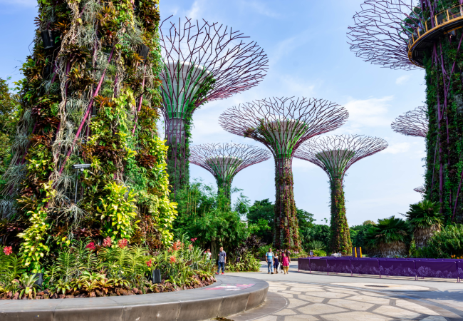 Singapore Tour Package