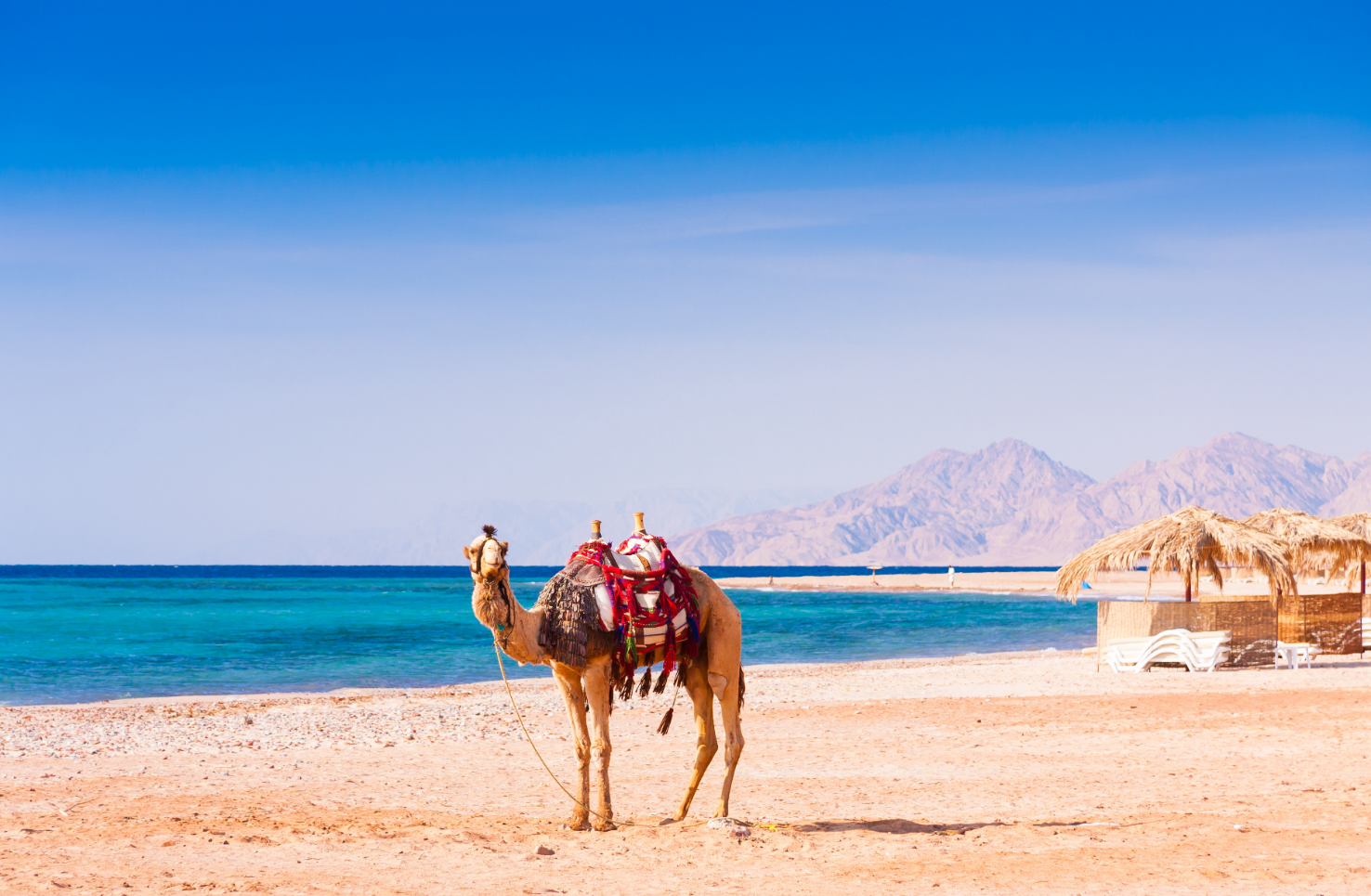 Egypt Tour Package