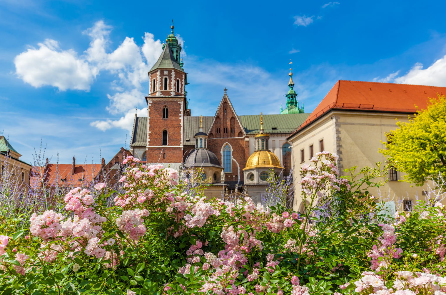 Poland Tour Package