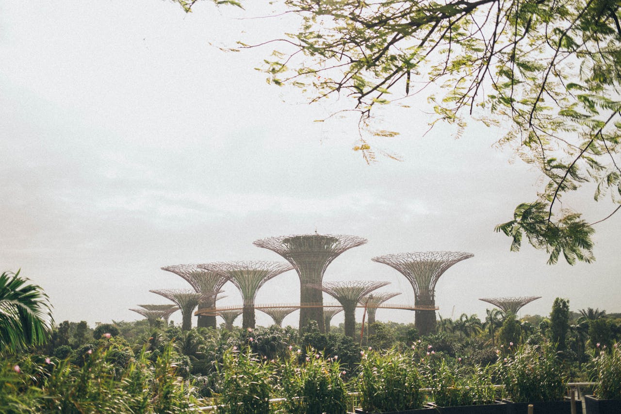 Singapore Tour Package