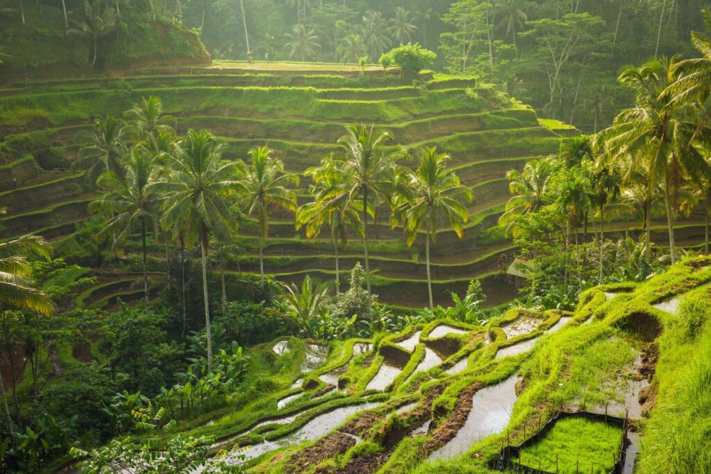 Best Places to Visit in Bali for First-Time Travelers